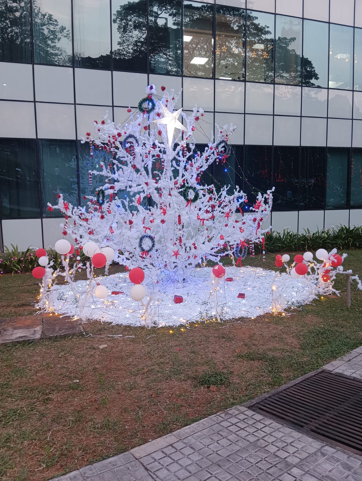 Christmas Celebration